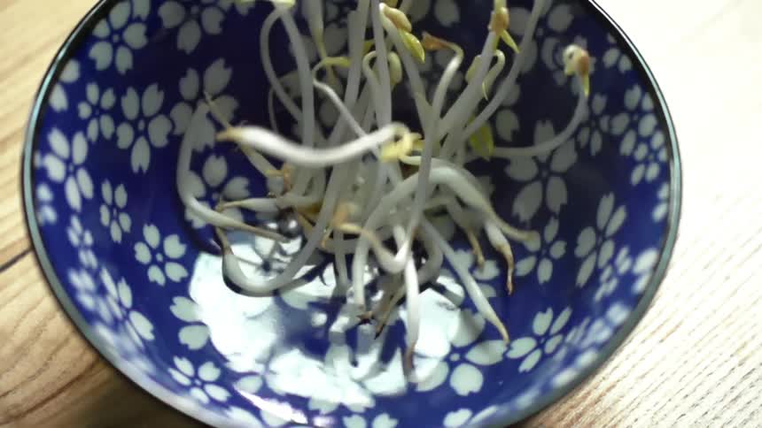 A blue and white bowl on a table with sprouts falling into