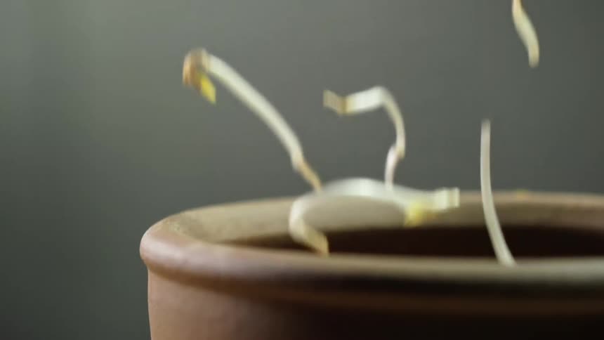 Sprouts falling into a wooden bowl