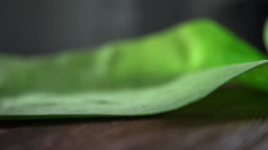 A tortilla being unrolled