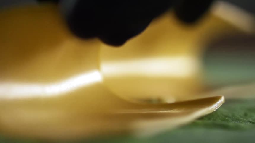 A person with black gloves placing slice cheese on a green surface