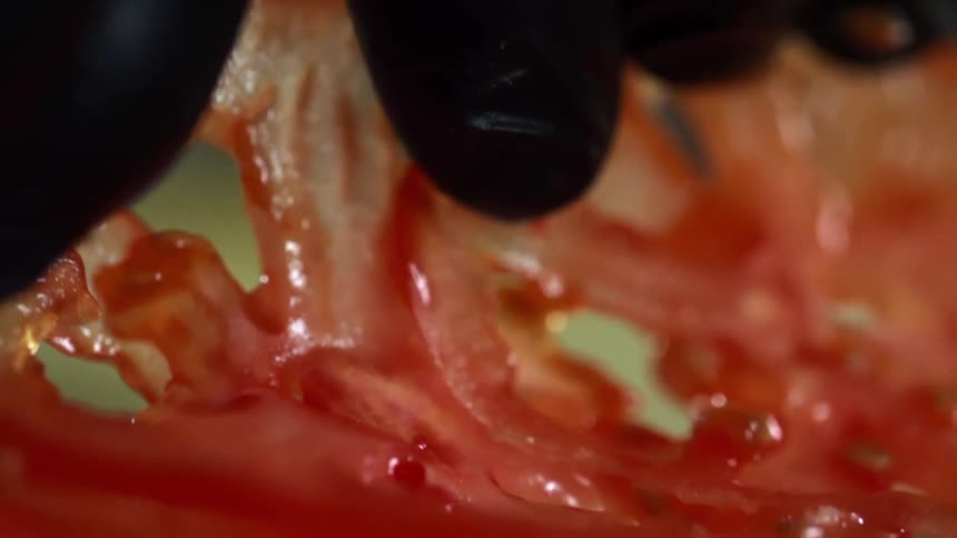 Person wearing black gloves places thinly sliced tomatoes
