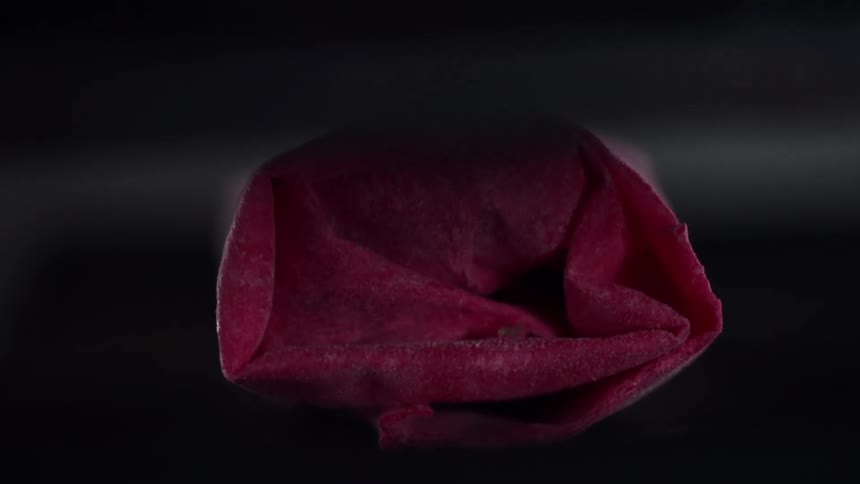 A burrito placed for a photo shoot