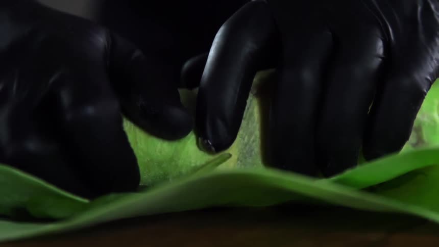 Chef wearing black latex gloves wraps a green flour tortilla