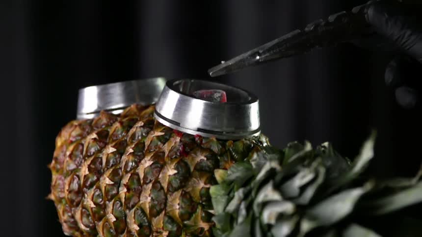 Charcoal cubes being put in a metal ring over a pineapple used as a bowl with a tweezer