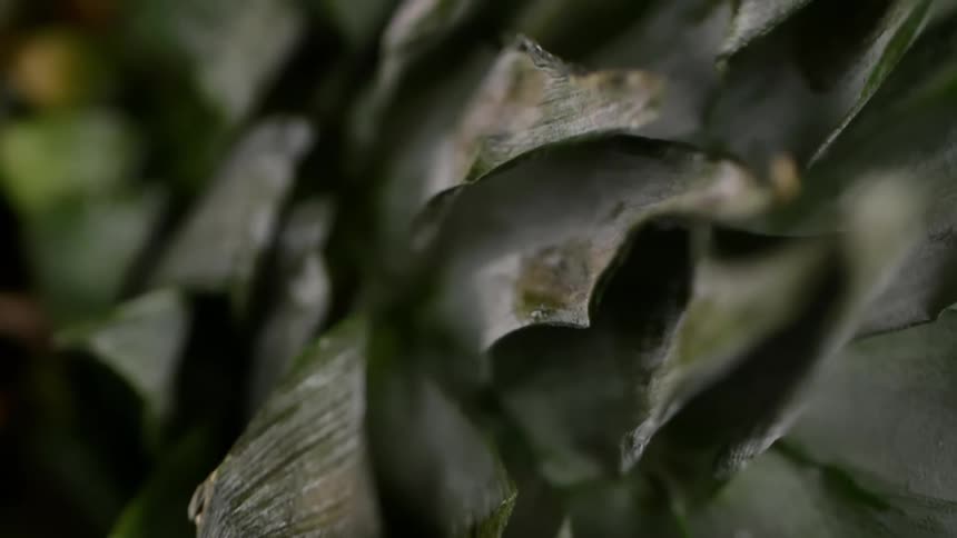 A person places a pineapple used as bowl on top of a stem