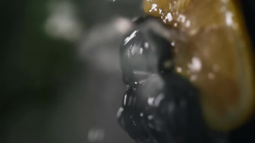 Chef wearing black latex gloves squeezes a lemon with his hands squirting juice everywhere