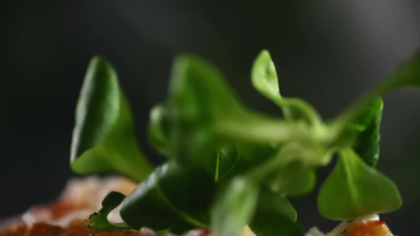 Leafy greens falling over a hot dog bun