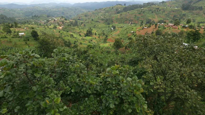 A small village in a remote area