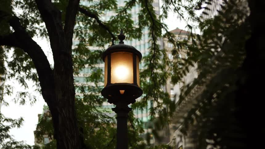 Metal lamp post stands near the trees outside of a city building