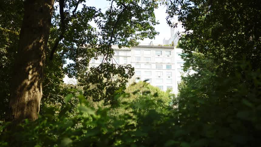 A wide building is visible through the space between dense trees and bushes