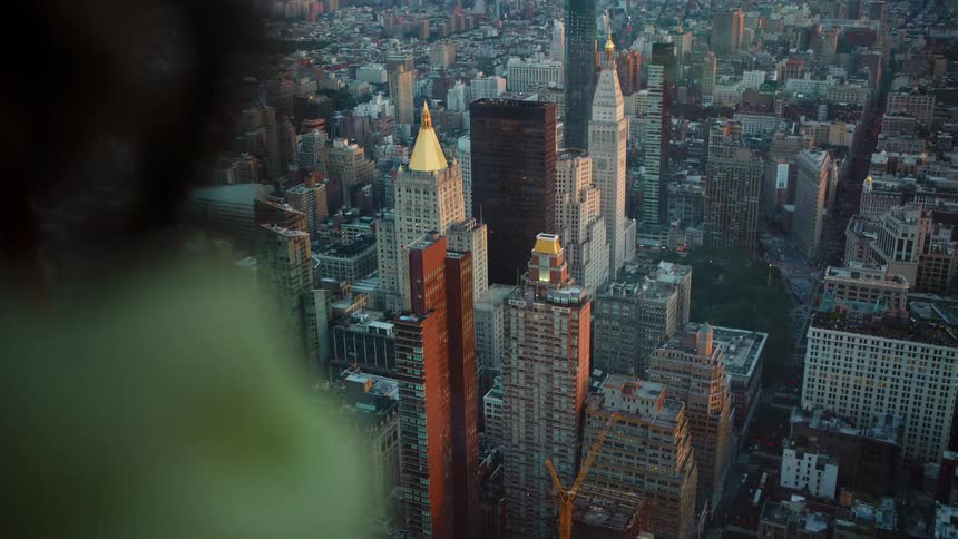 A person looking at the city skyline