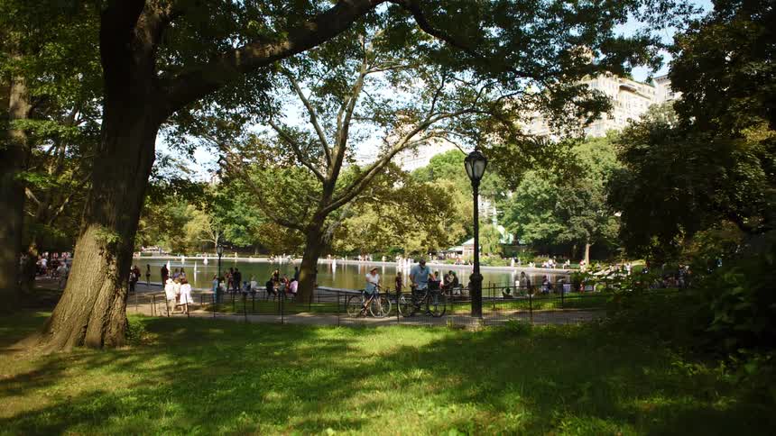 Several people and family groups walk around a pond in a green park on a sunny day