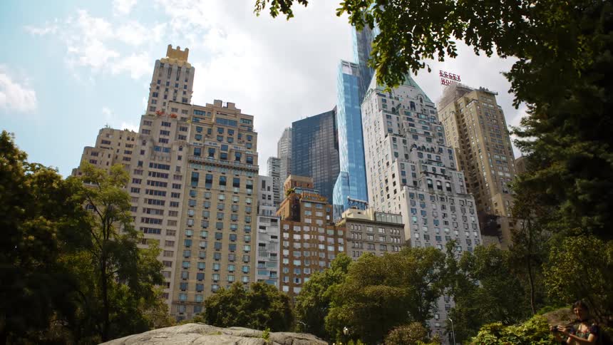 View of high rise buildings seen from a public park