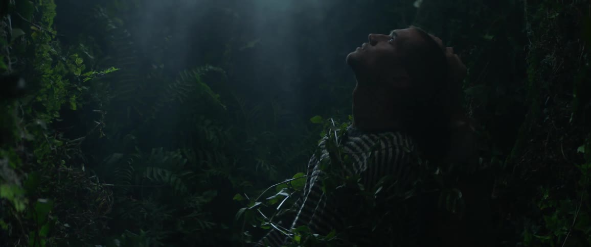 A person is looking up at night in the forest