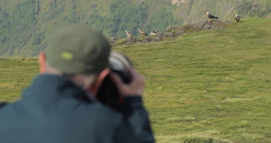A man takes pictures of birds outdoors