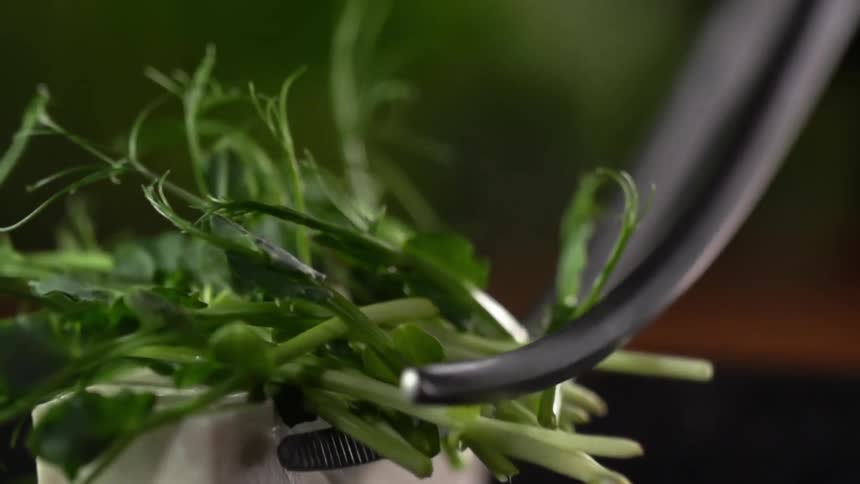 A pair of metal tongs drops a bundle of green herbs on a white block