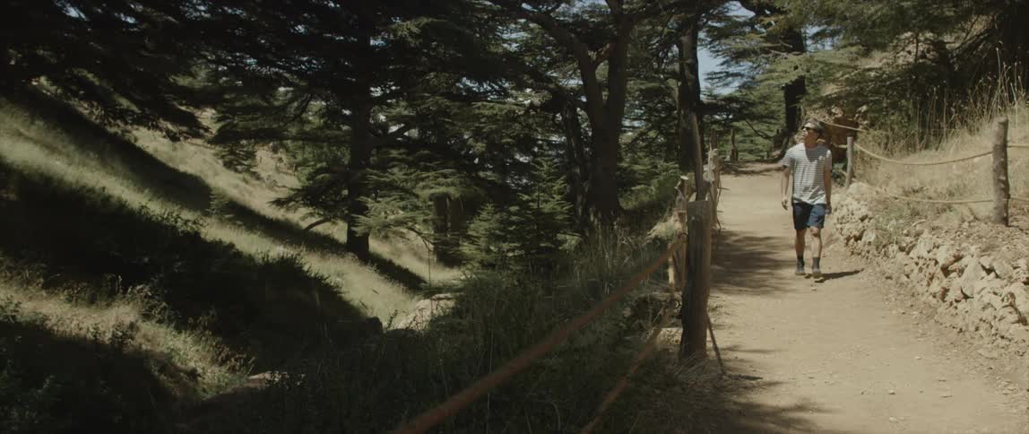 A man is walking along a trail looking at the forest