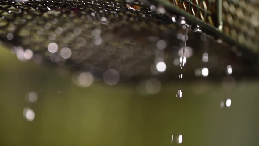 Fryer grease drips off of a metal basket