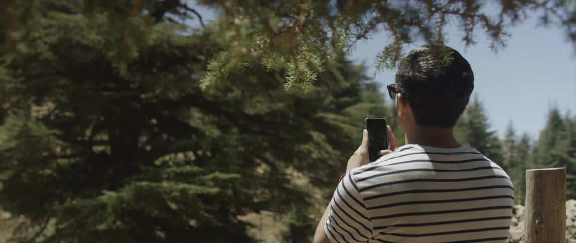 A man takes a photograph of a tree with a smartphone