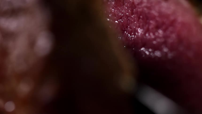 Close up of a smoked steak being cut in half