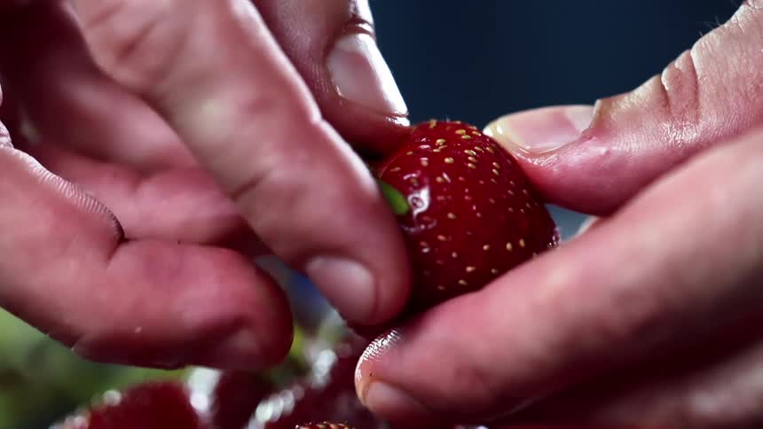 A person pulls the stem and leaves from a strawberry with their fingers