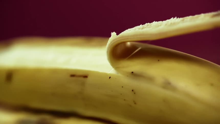 A banana resting on its side on top of other bananas gets peeled