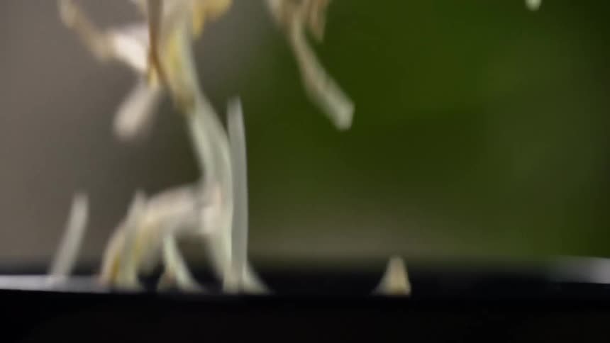 Close up of bean sprouts falling inside a black ceramic bowl