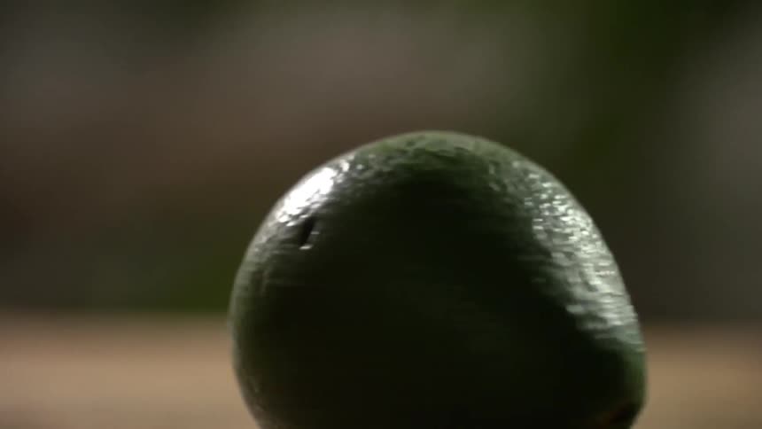 An avocado spinning on a counter top