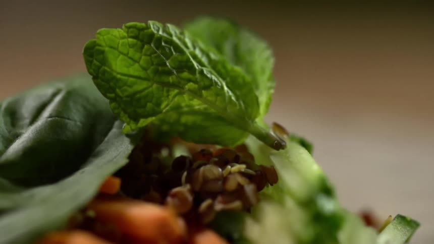 Green mint leaf falls over a vegetarian salad