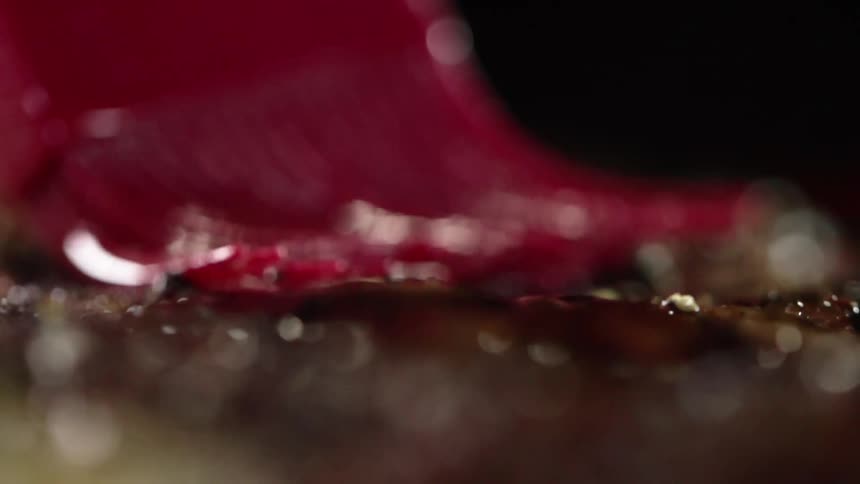 Close up of a red nylon cooking brush over food