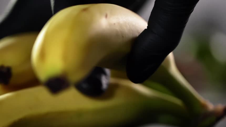 Chef wearing black latex gloves rips a banana from the bunch