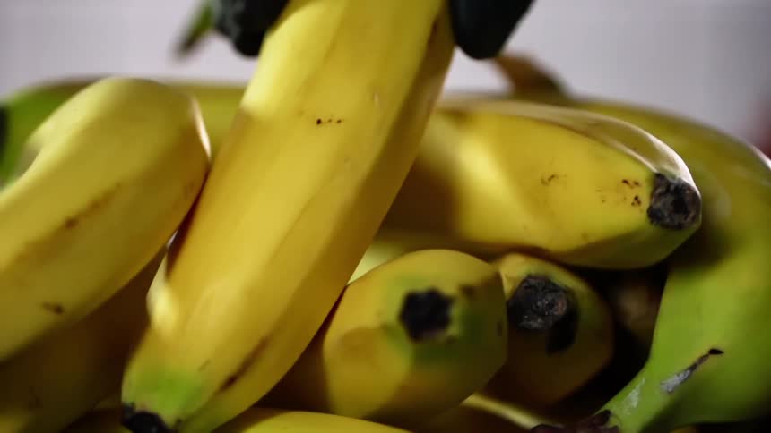 A person wearing black disposable gloves slowly picks up a single banana from a larger pile of them