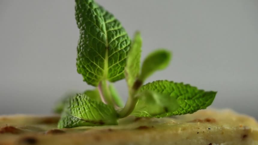 A sprig of green leaves drops on a piece of food