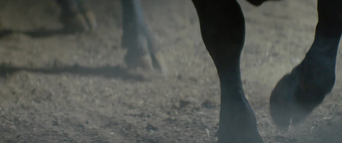 A bull is walking slowly in the dark dirt