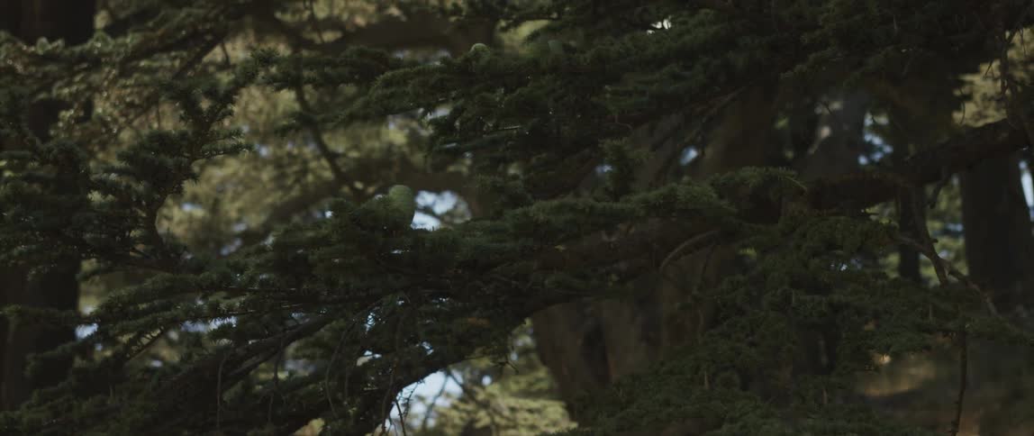 Lebanon