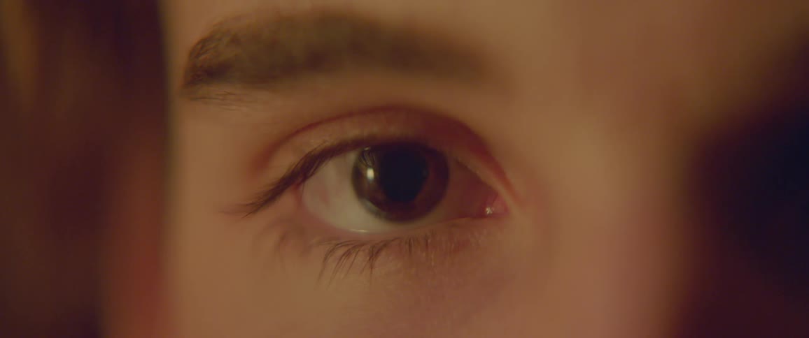 Persons eyeball and eyebrow