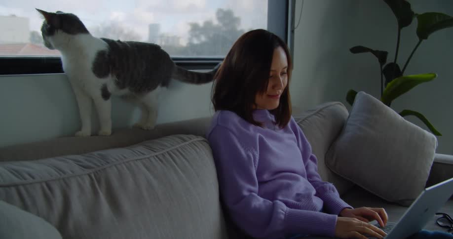 Woman typing on laptop in living room while cat looks out the window