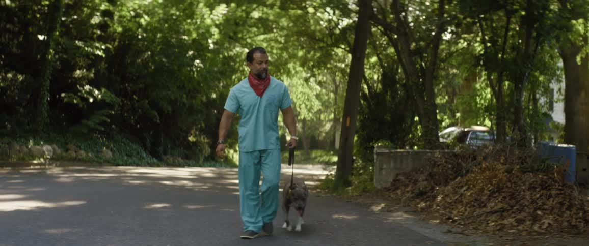 Man walking his dog in a tree lined neighborhood