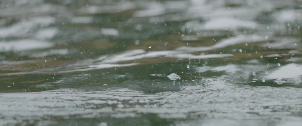 A fishing line is cast into water