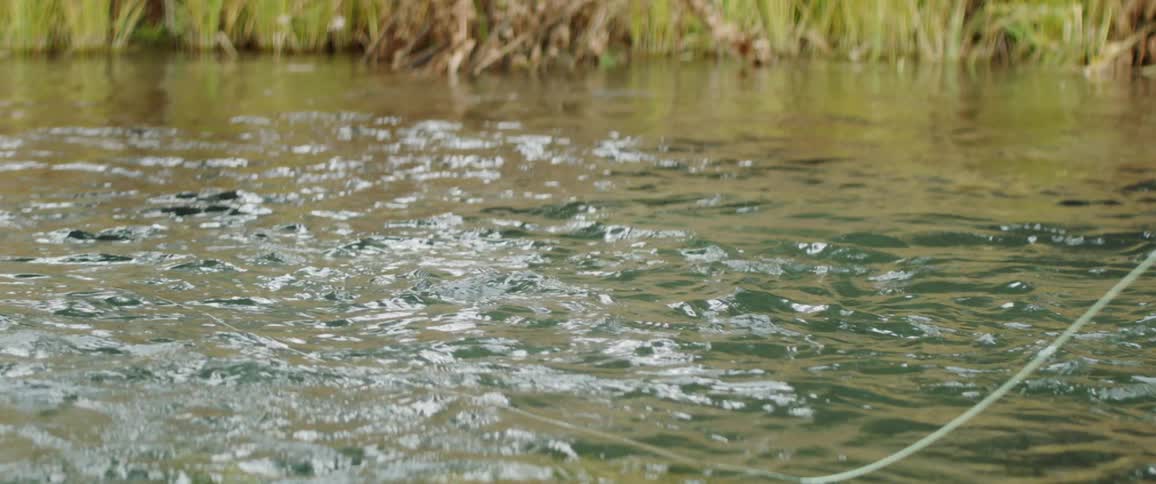 A fishing line hits the surface of the stream waters