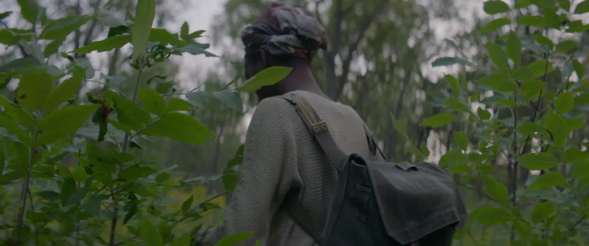 A person wearing a backpack walking through saplings