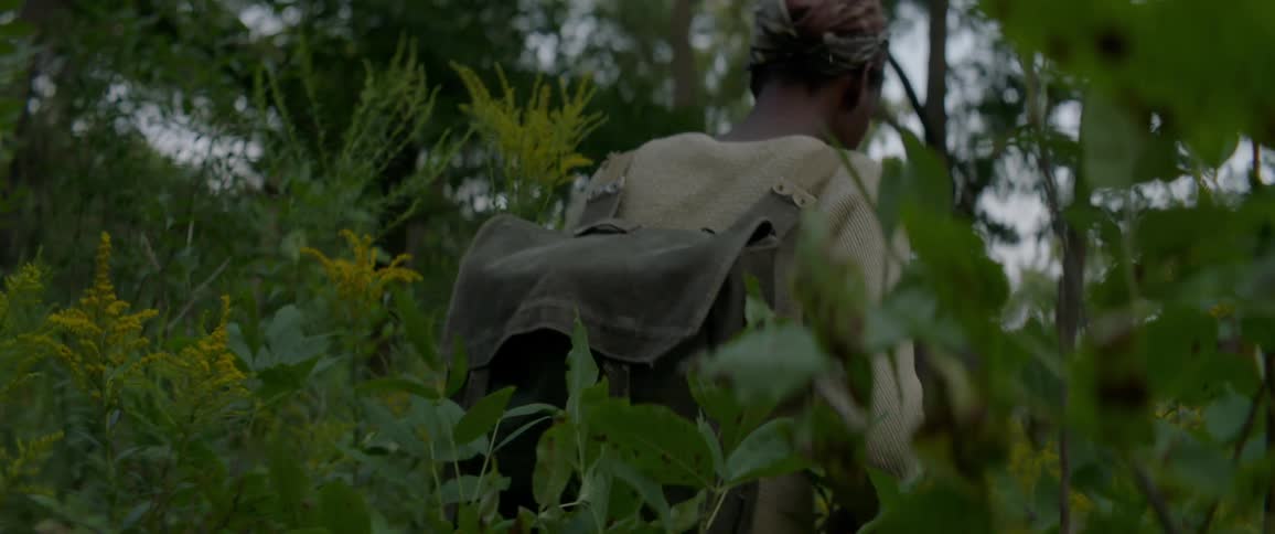A person walking through the forest
