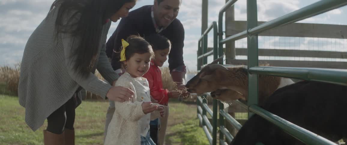 Parents are helping their kids feed goats on a farm