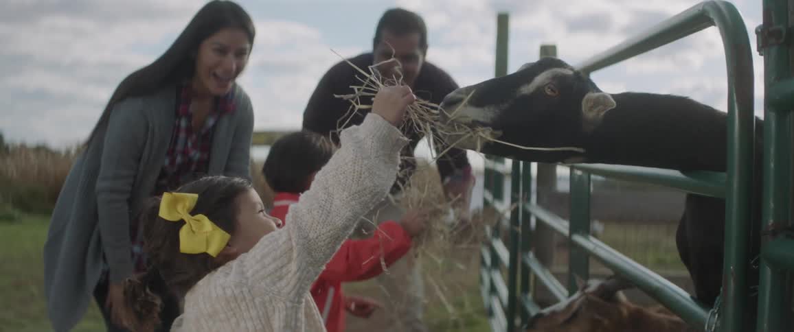 A family feeds goats on a farm