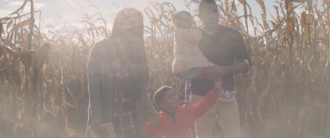 A family is walking through a corn maze together