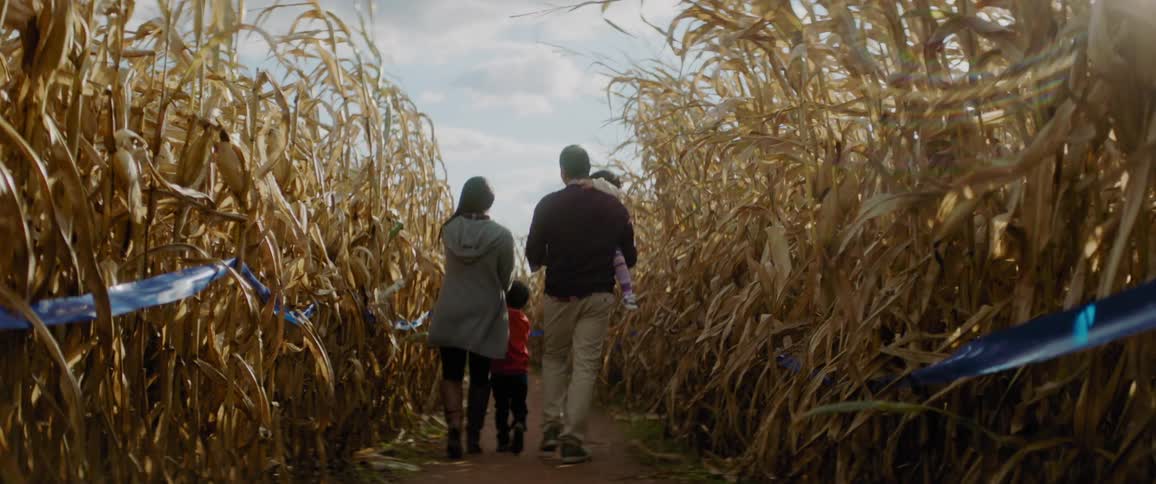 A family are walking through a corn maze