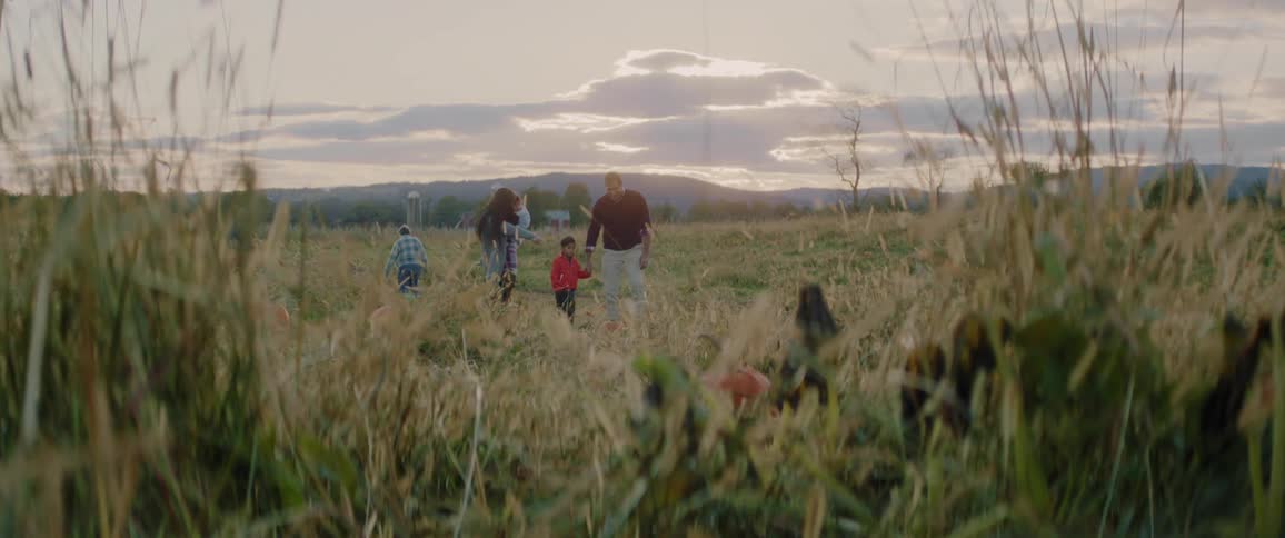 A family walks in a rural field at sunset