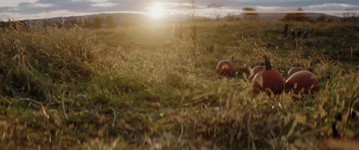 A family are walking in a pumpkin field at dusk
