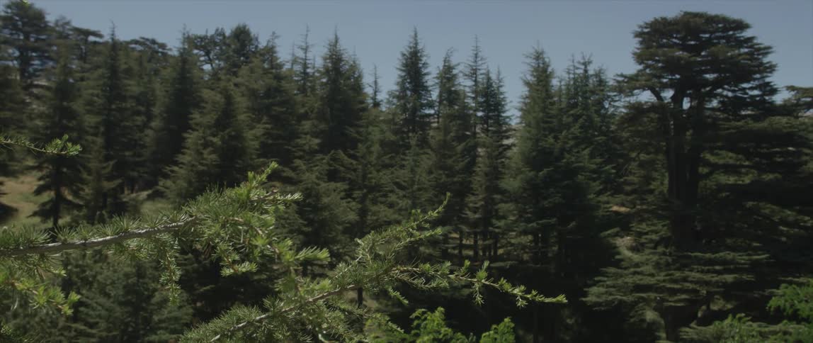 Lebanon