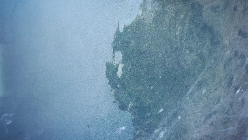 The coast line of a continent seen from a satellite in space